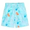 Disney Mickey And Minnie Mouse Summer Swim Trunks For Kids -Disney Sales Store 5006059190202